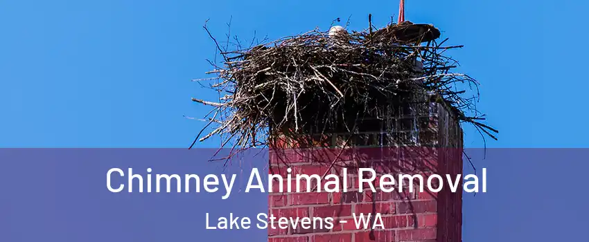  Chimney Animal Removal Lake Stevens - WA