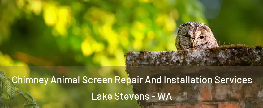  Chimney Animal Screen Repair And Installation Services Lake Stevens - WA