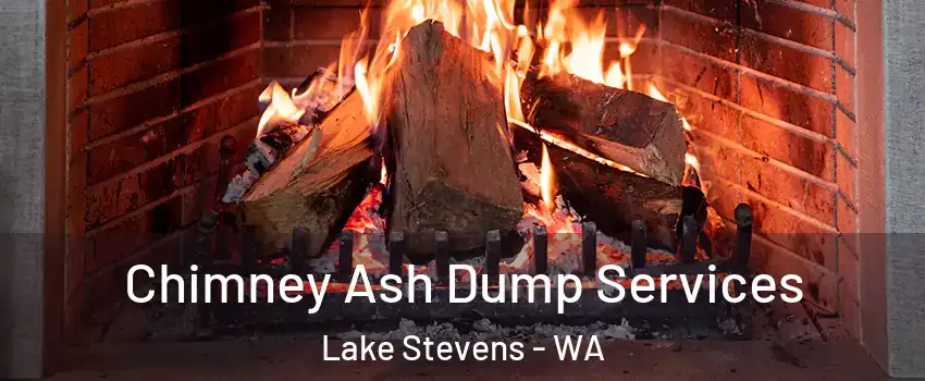  Chimney Ash Dump Services Lake Stevens - WA