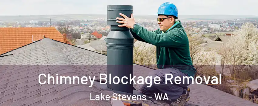  Chimney Blockage Removal Lake Stevens - WA