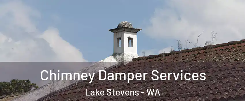  Chimney Damper Services Lake Stevens - WA