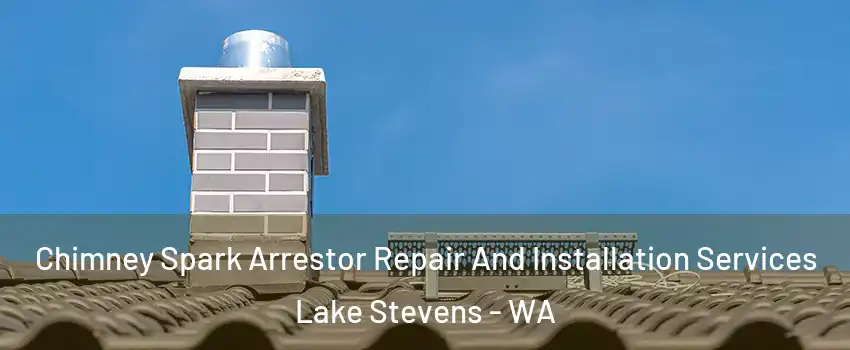  Chimney Spark Arrestor Repair And Installation Services Lake Stevens - WA