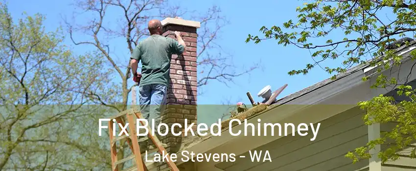  Fix Blocked Chimney Lake Stevens - WA