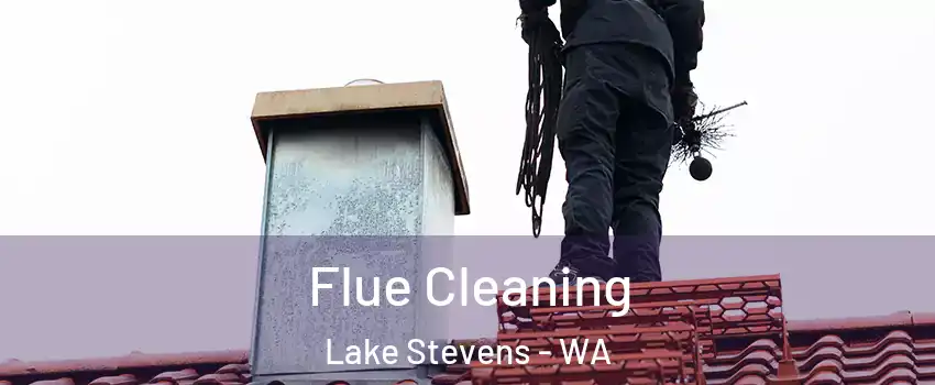  Flue Cleaning Lake Stevens - WA