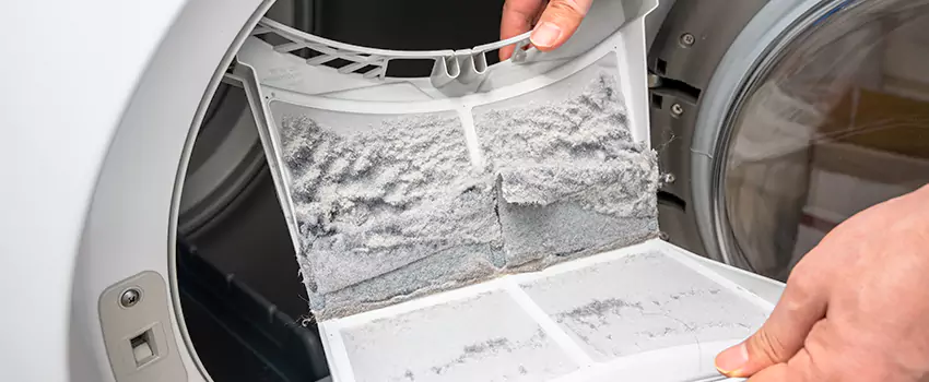 Best Dryer Lint Removal Company in Lake Stevens, Washington