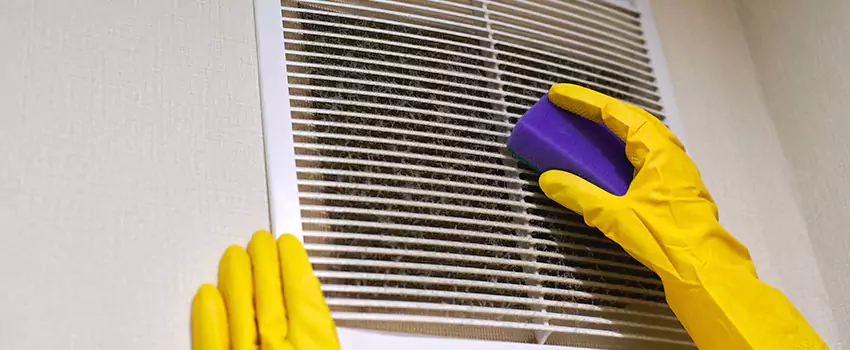 Vent Cleaning Company in Lake Stevens, WA