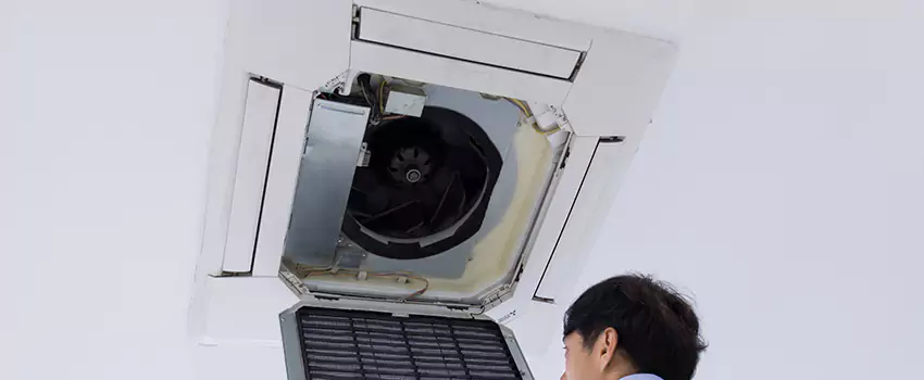 Benefits of Professional Air Duct Cleaning in Lake Stevens, Washington