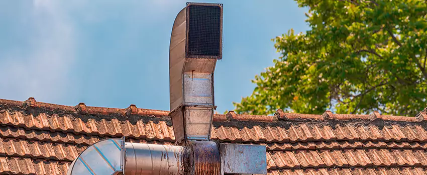 Chimney Blockage Removal in Lake Stevens, Washington