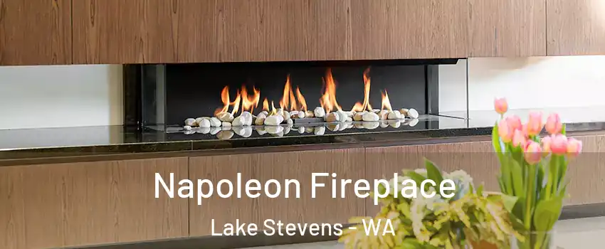  Napoleon Fireplace Lake Stevens - WA
